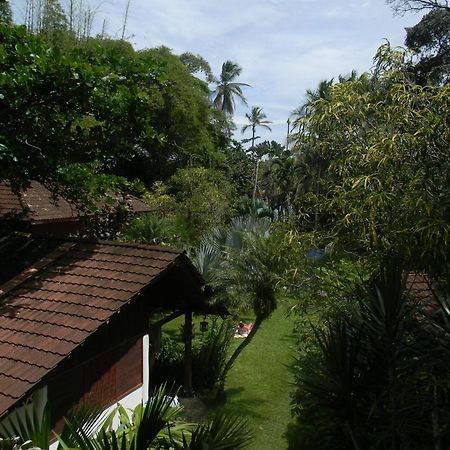 Chalet Y Cabinas Hibiscus Cahuita Kültér fotó