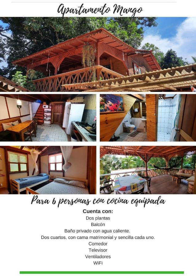 Chalet Y Cabinas Hibiscus Cahuita Kültér fotó