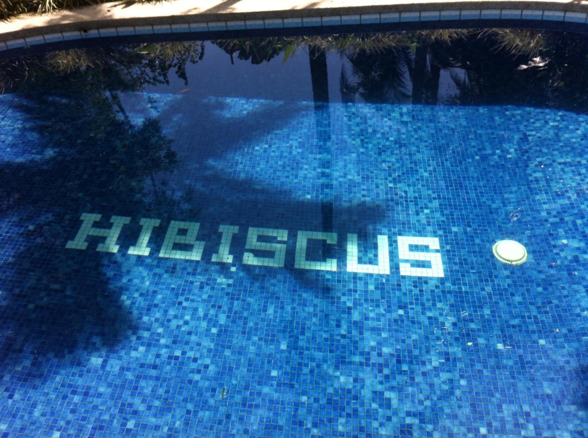 Chalet Y Cabinas Hibiscus Cahuita Kültér fotó