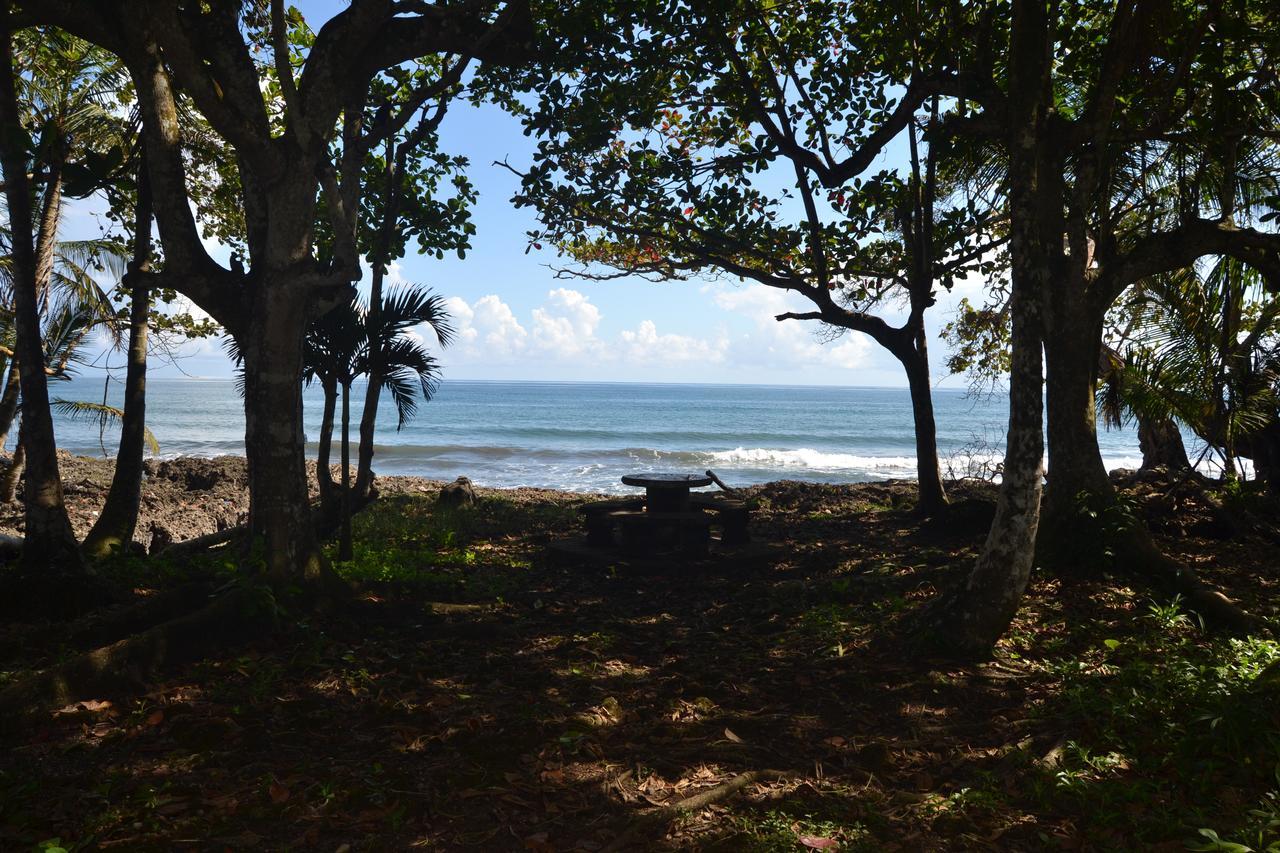 Chalet Y Cabinas Hibiscus Cahuita Kültér fotó