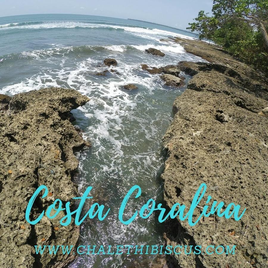 Chalet Y Cabinas Hibiscus Cahuita Kültér fotó